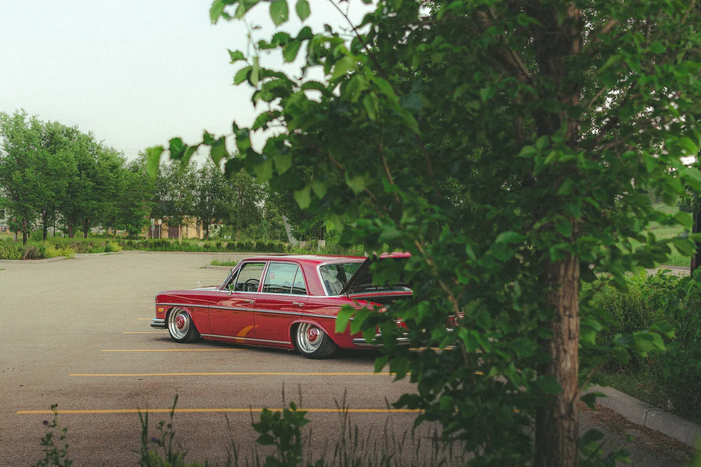 MERCEDES BENZ 280S - @SLLYBTTN photo 26